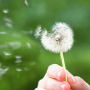 Bienvenida primavera