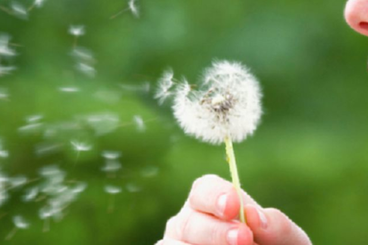 Bienvenida primavera