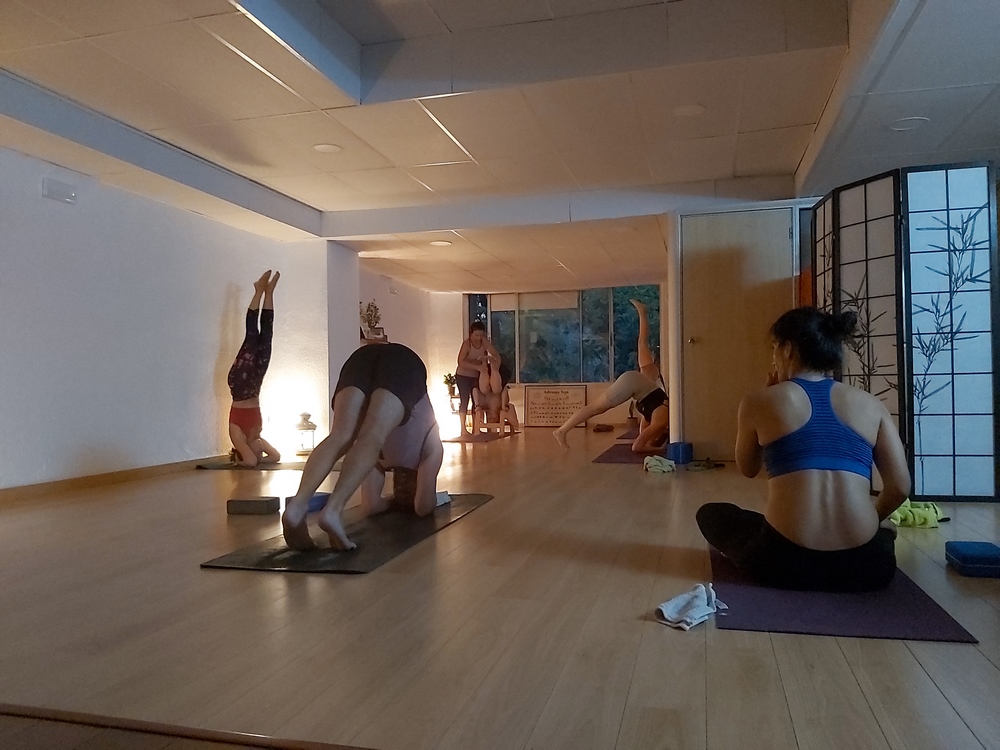 “Yogasana” y los ejercicios físicos