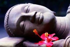 Yoga Nidra Teacher Training